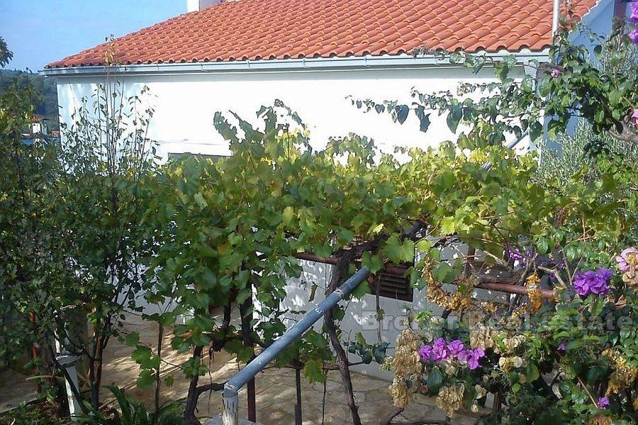 Insel Solta, Haus zweite Reihe vom Meer