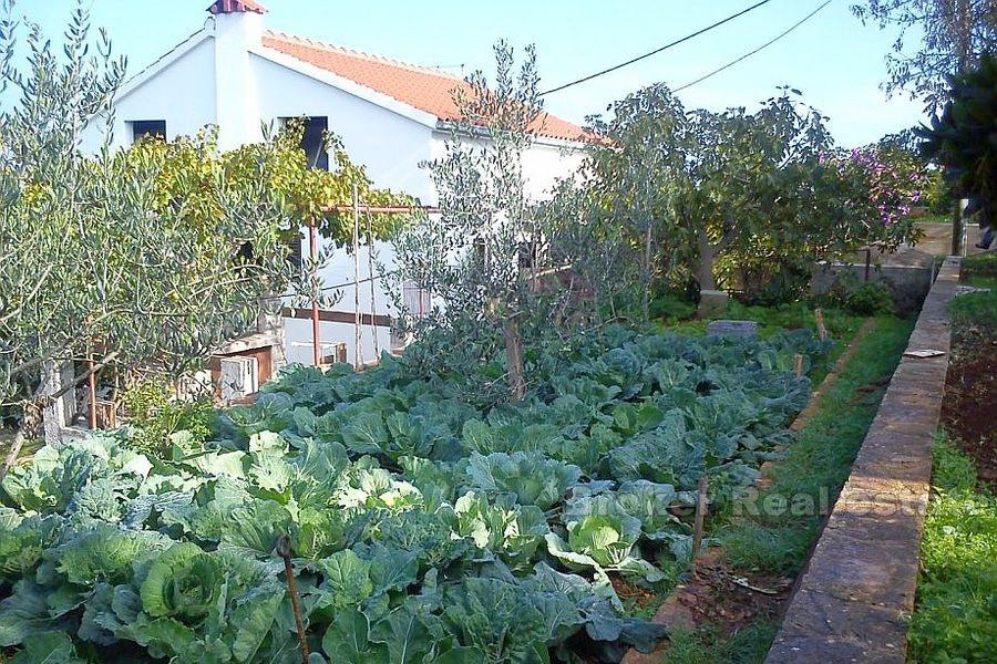 Insel Solta, Haus zweite Reihe vom Meer