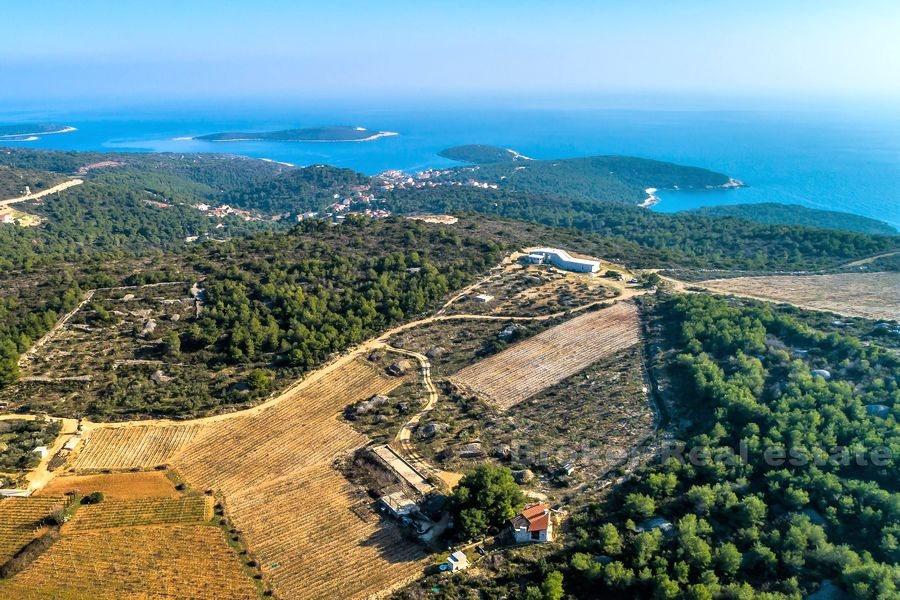 Island of Vis, an idyllic estate