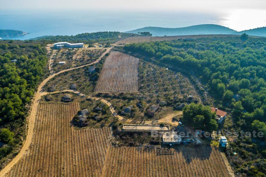 Island of Vis, an idyllic estate