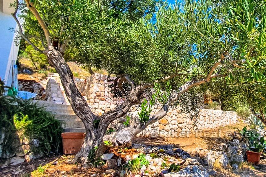 Otok Hvar, samostojeća kuća s pogledom na more