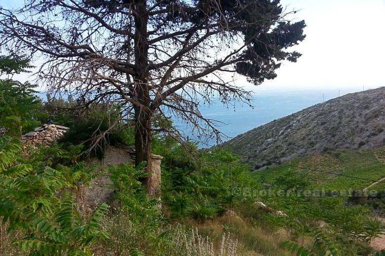 ostrov Hvar, zničený kamenný dům