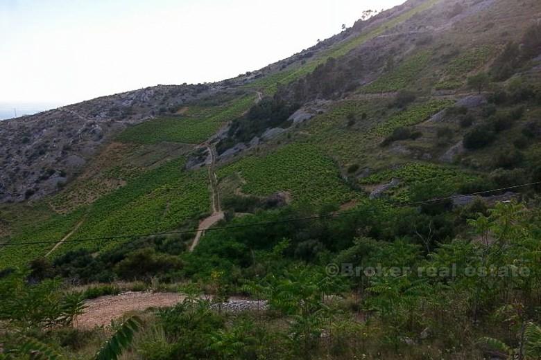 wyspa Hvar, zburzony dom z kamienia