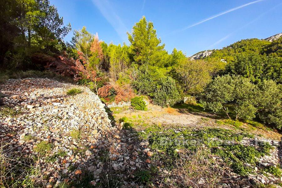 Ön Hvar - byggnadsland med havsutsikt
