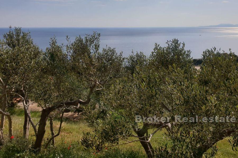 Ostrov Hvar - Stavební pozemek s projektem