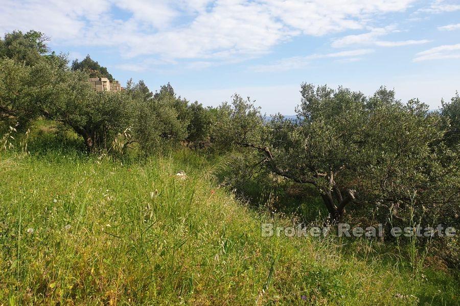 Ostrov Hvar - Stavební pozemek s projektem