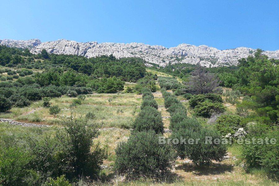 Omiš - Prostorný pozemek s výhledem na moře