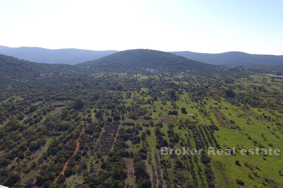 Großzügiges Grundstück mit großem Baupotenzial