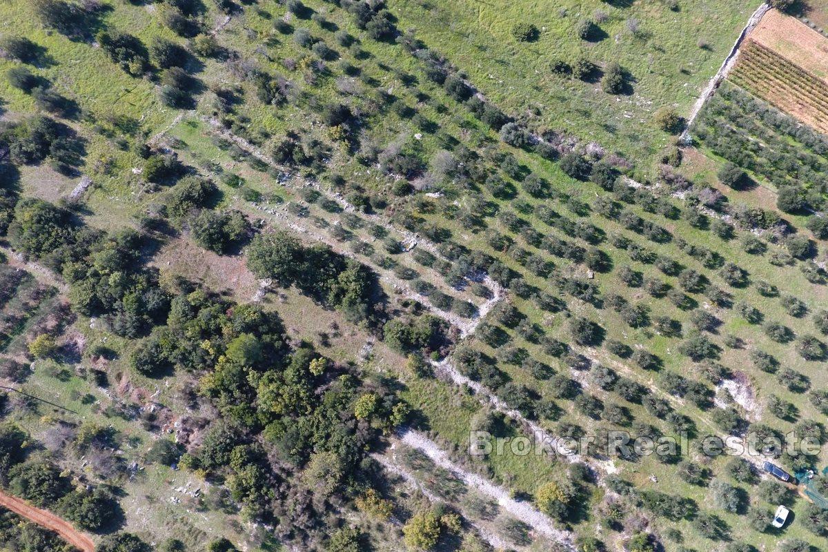 Prostorný pozemek s velkým potenciálem pro výstavbu