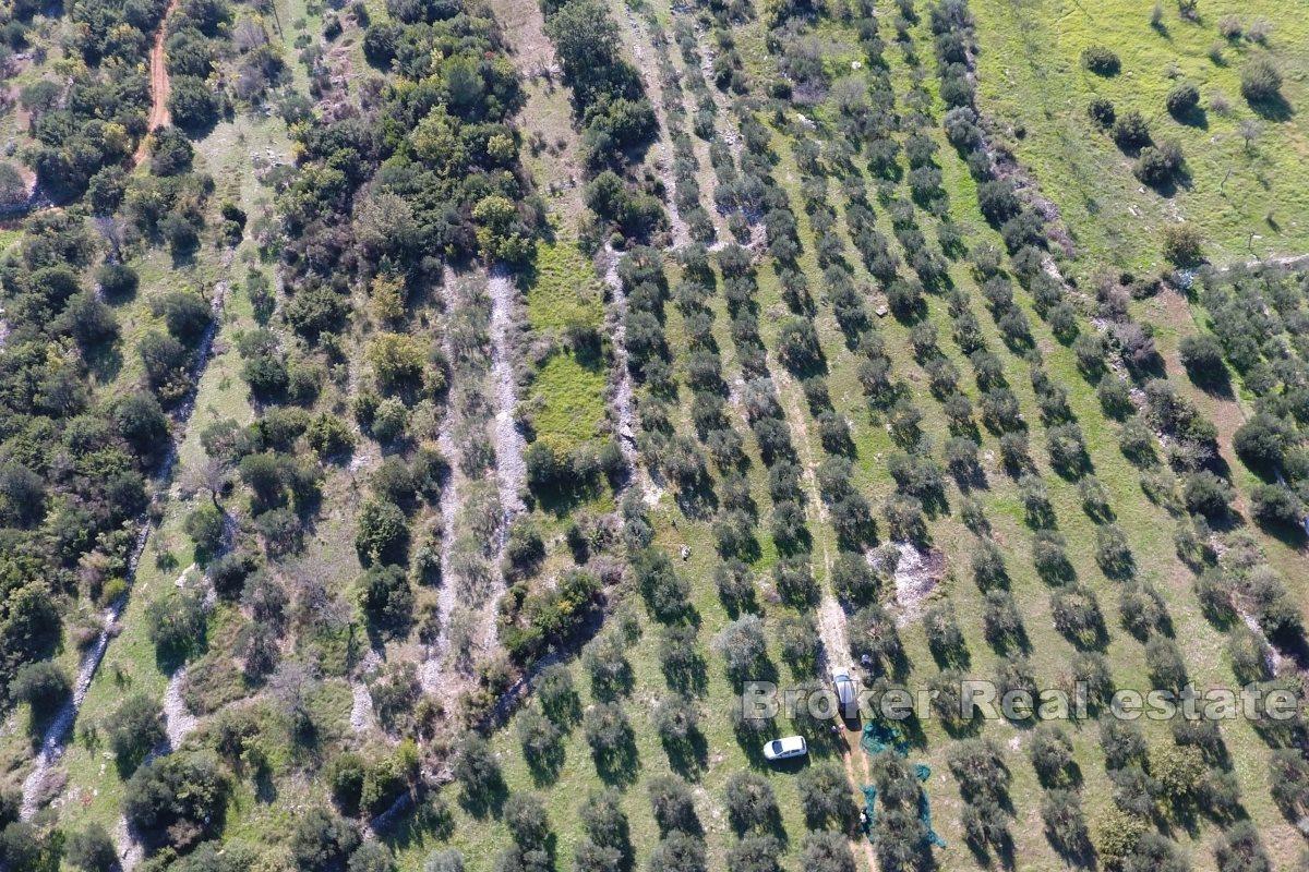 Marina - Priestranný pozemok s veľkým potenciálom na výstavbu