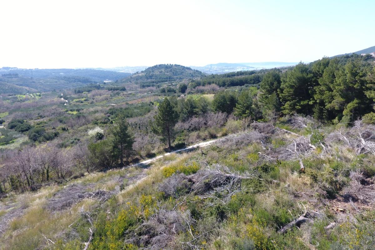 001-2016-698-Split-Area-Building-land-with-panoramic-view-for-sale