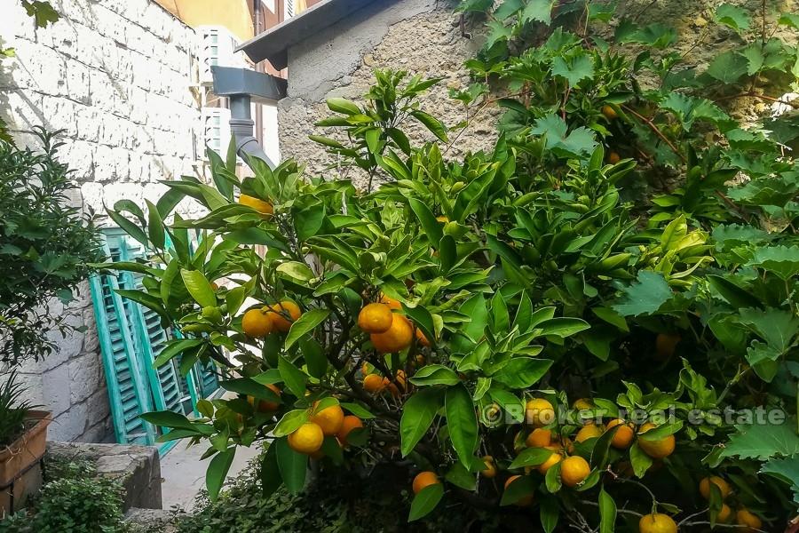 Split centar - kuća za renoviranje u staroj jezgri