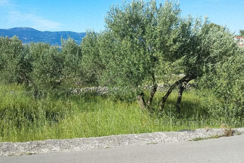 ostrov Čiovo, stavební pozemek