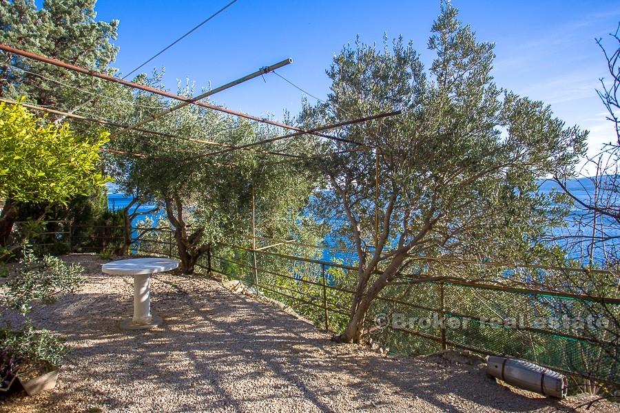 Omiš - dvojdomek u moře