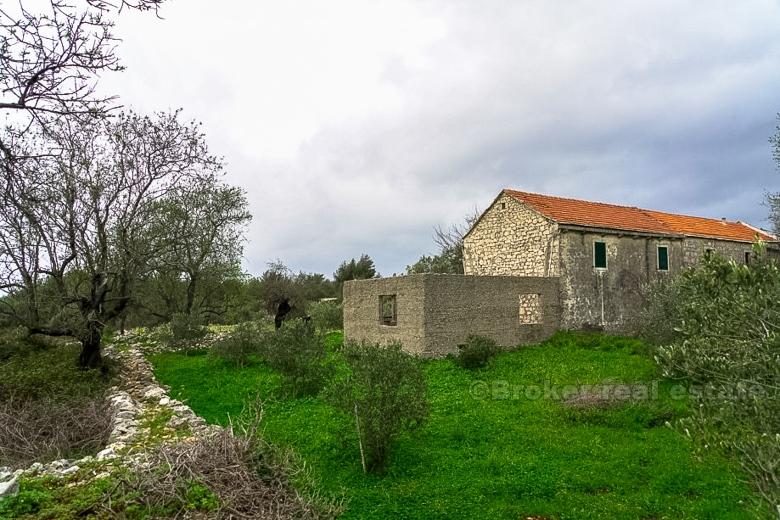 Wyspa Hvar - Autentyczny kamienny dom