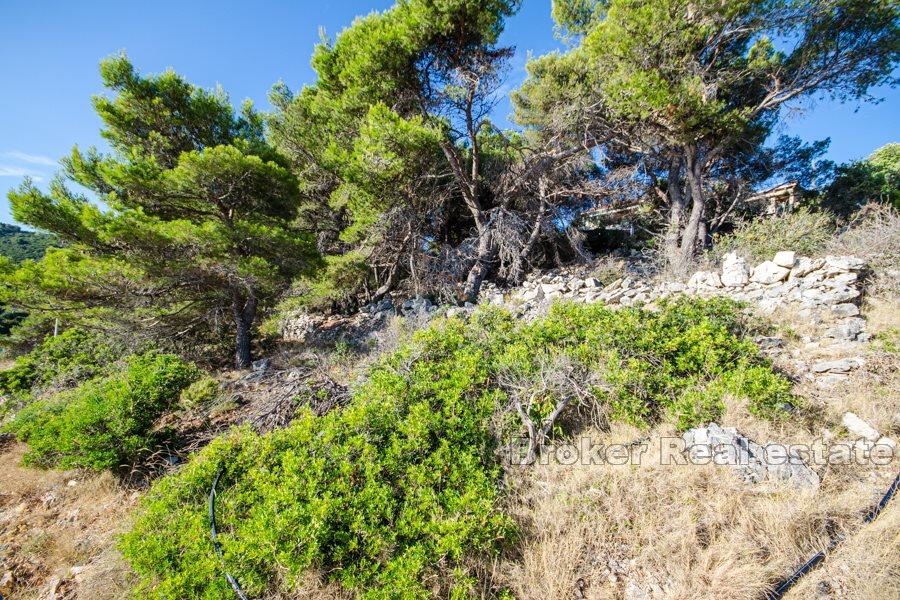 Île de Solta, terrains à bâtir en bord de mer