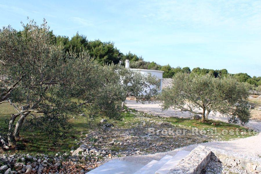 Primosten zaplecze, większa ziemia z mniejszym domem