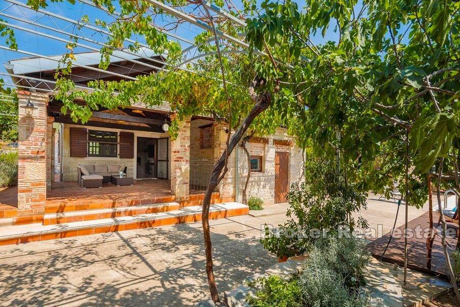 Marina w pobliżu Trogiru, dalmatyńskiej posiadłości i gaju oliwnego