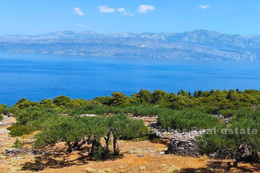 Wyspa Brac - Działka budowlana pod budowę 9 willi z basenami