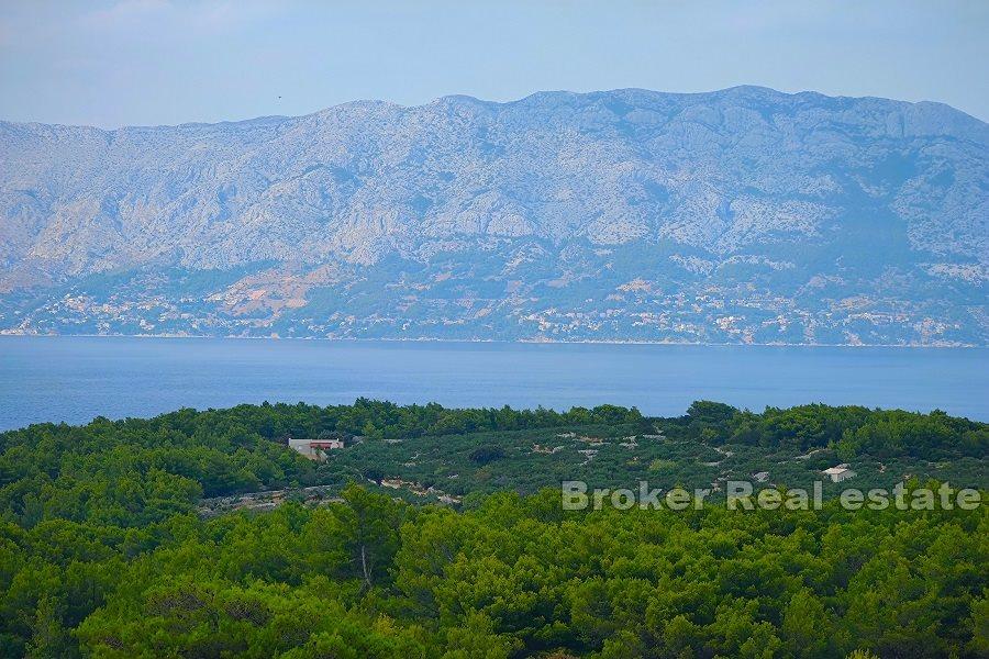 Brac - Agricultural land with a sea view