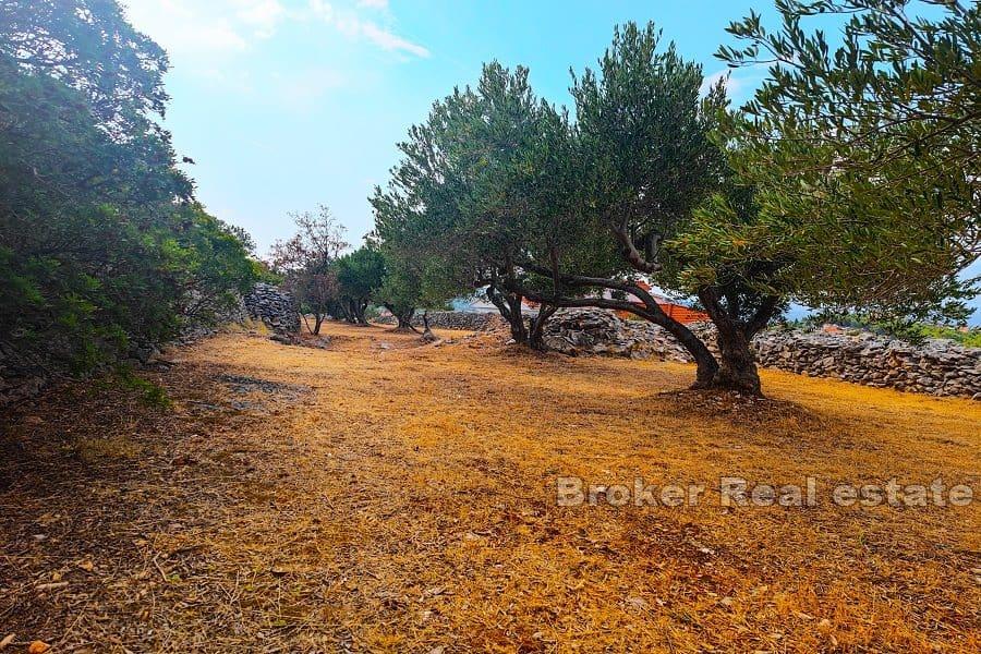 Brac - Agricultural land with a sea view