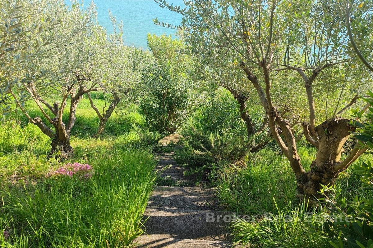 Dom nad plażą z panoramicznym widokiem na morze