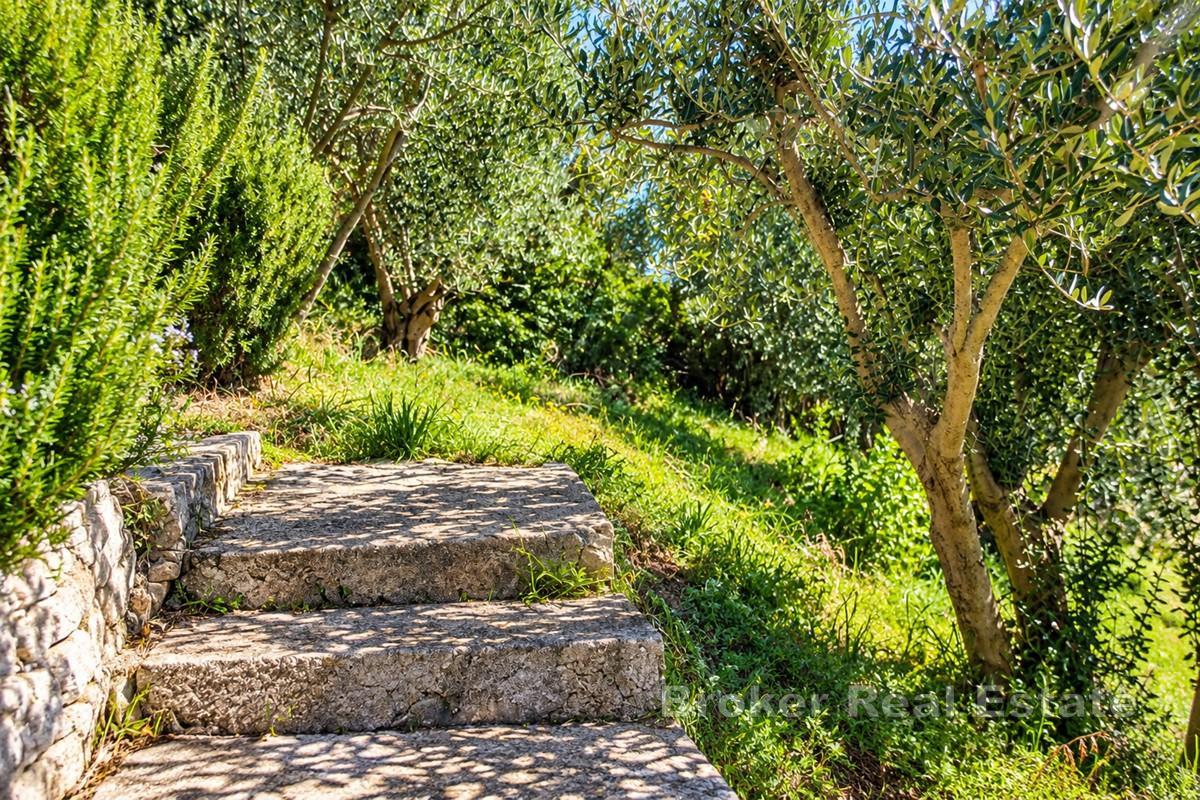 Terreno con accesso diretto alla spiaggia