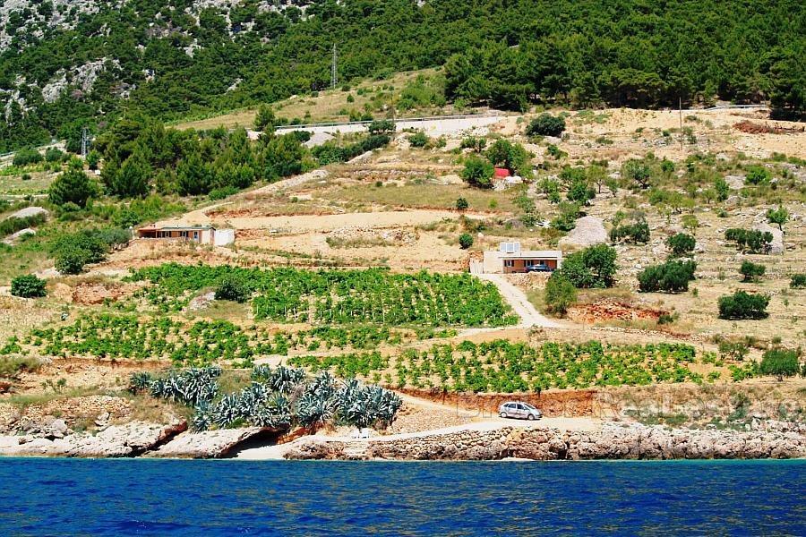 Island of Brac, a unique land by the sea