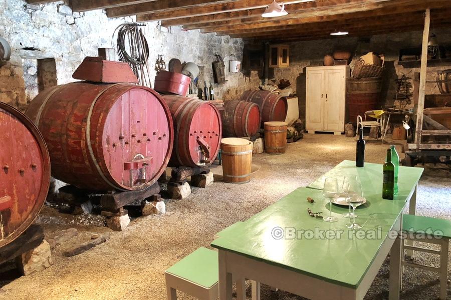 Kastela - Superb stone villa with swimming pool