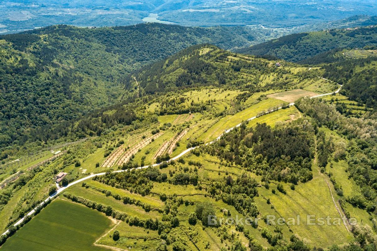 Участок с концептуальным проектом в исключительном месте в самом сердце Истрии
