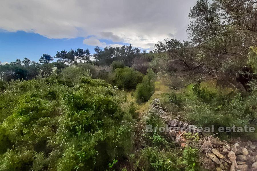 Øya Ciovo - Tomt med sjøutsikt