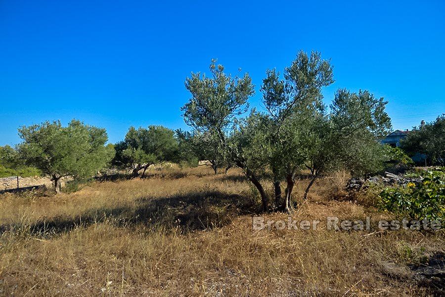 Wyspa Brac, działka budowlana z widokiem na morze