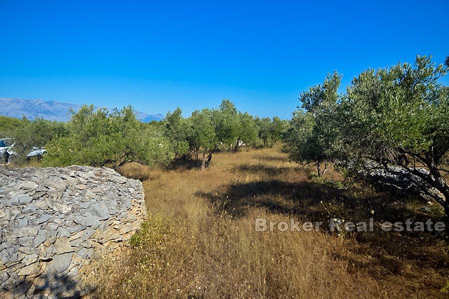 Wyspa Brac, działka budowlana z widokiem na morze