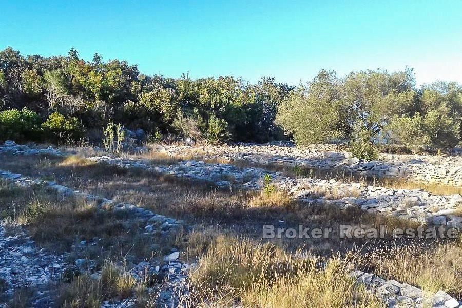 Wyspa Korcula - Teren z 3 mniejszymi budynkami, z widokiem na morze