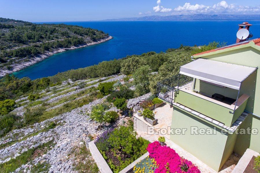 Wyspa Korcula - Dom wakacyjny z gajem oliwnym