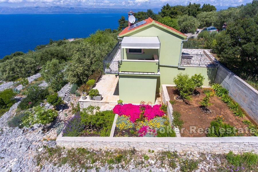 Wyspa Korcula - Dom wakacyjny z gajem oliwnym
