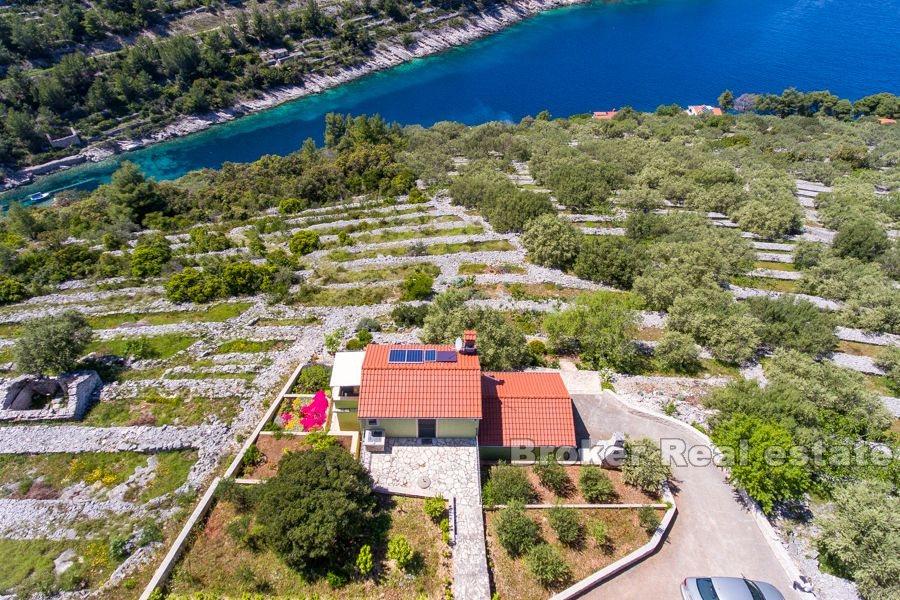 Ön Korcula - Semesterhus med olivlund