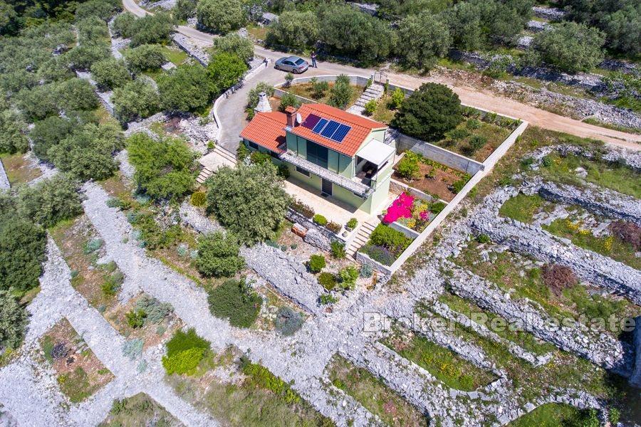 Ön Korcula - Semesterhus med olivlund