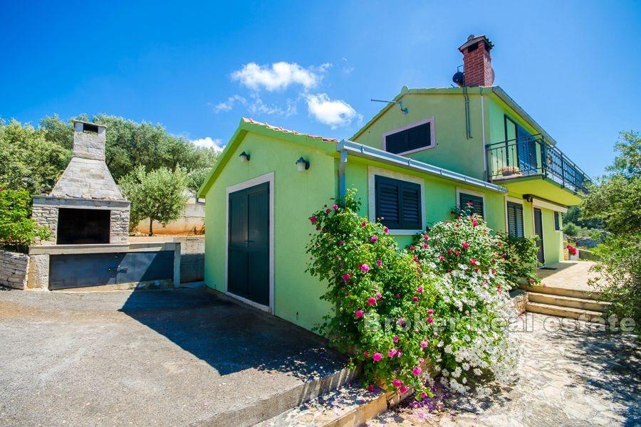 Ön Korcula - Semesterhus med olivlund