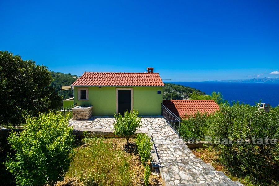 Ön Korcula - Semesterhus med olivlund