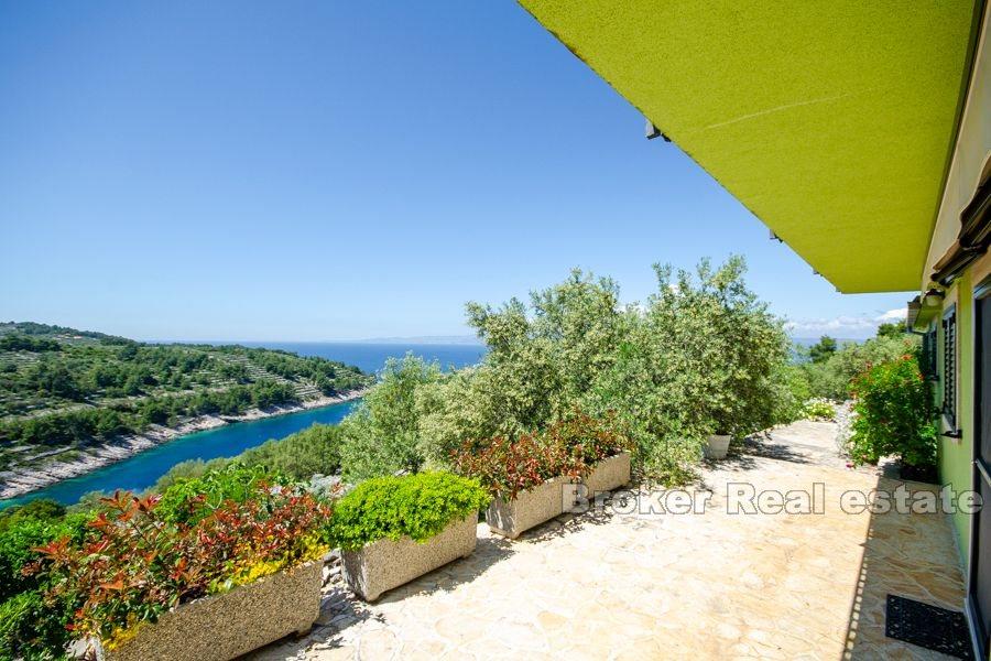 Ön Korcula - Semesterhus med olivlund