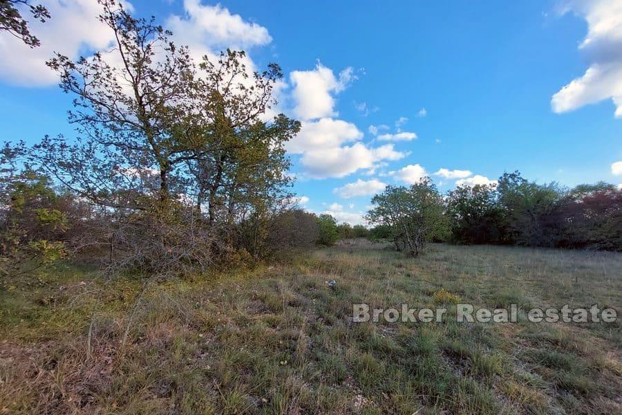 Dalmatian hinterland - Large construction land