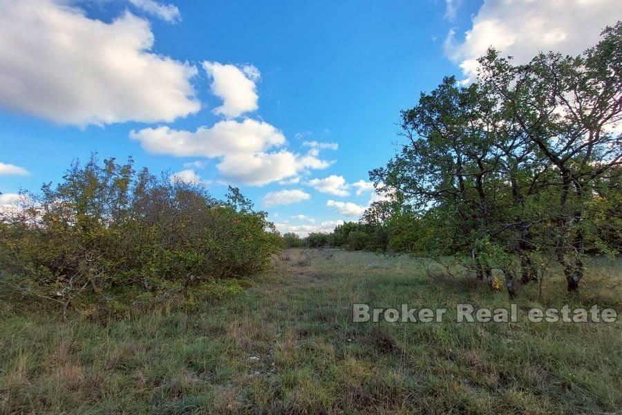 Arrière-pays dalmate - grand terrain constructible