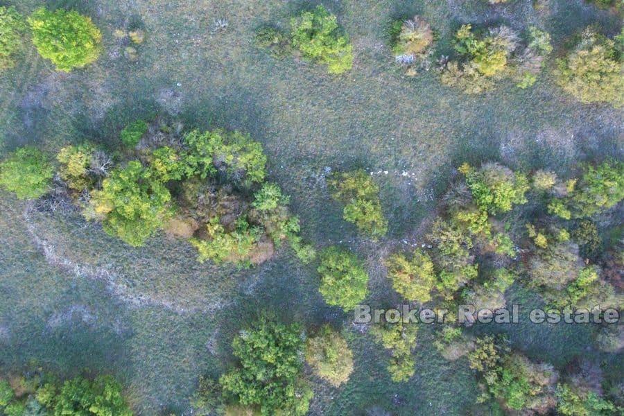 Arrière-pays dalmate - grand terrain constructible