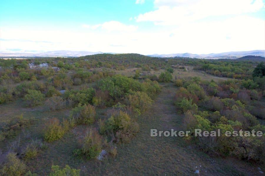 Dalmatian hinterland - Large construction land