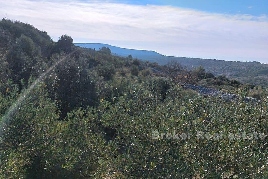Primosten - Building plot with open sea view