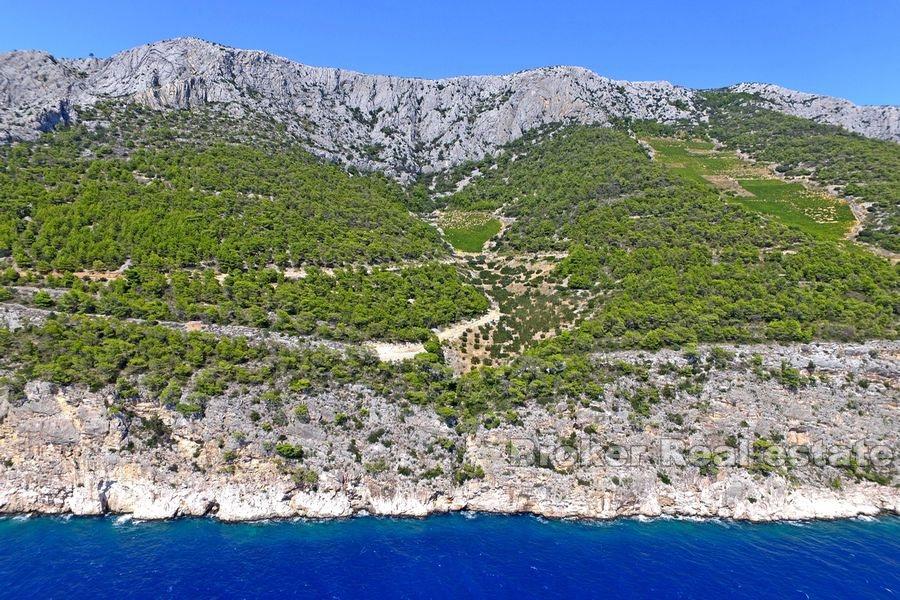 Island of Hvar - Large agricultural land by the sea