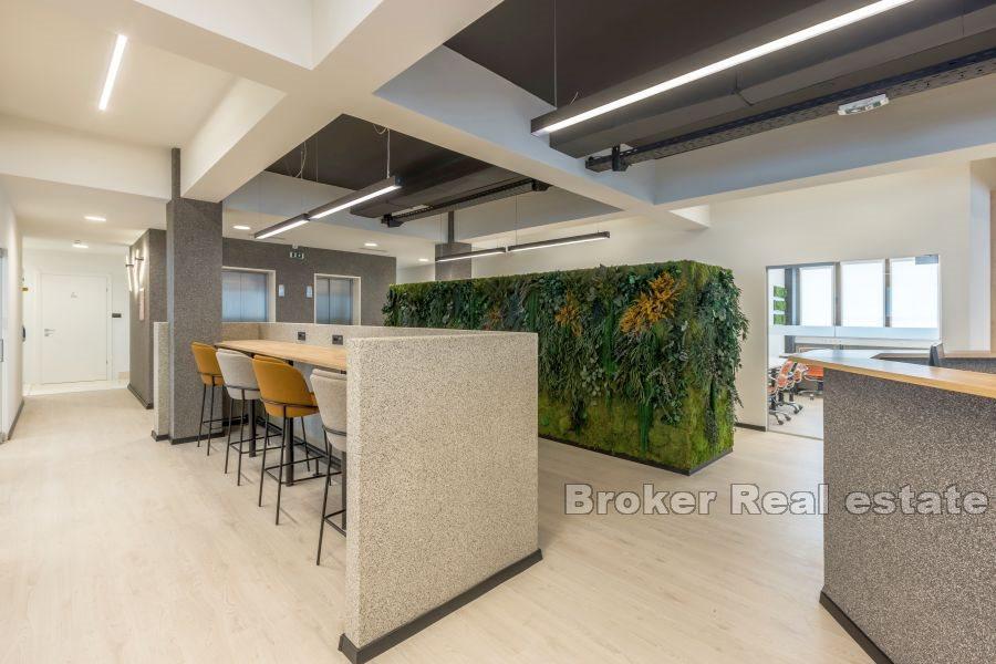 Podział 3 — wspólne lokale biznesowe w często spotykanej lokalizacji