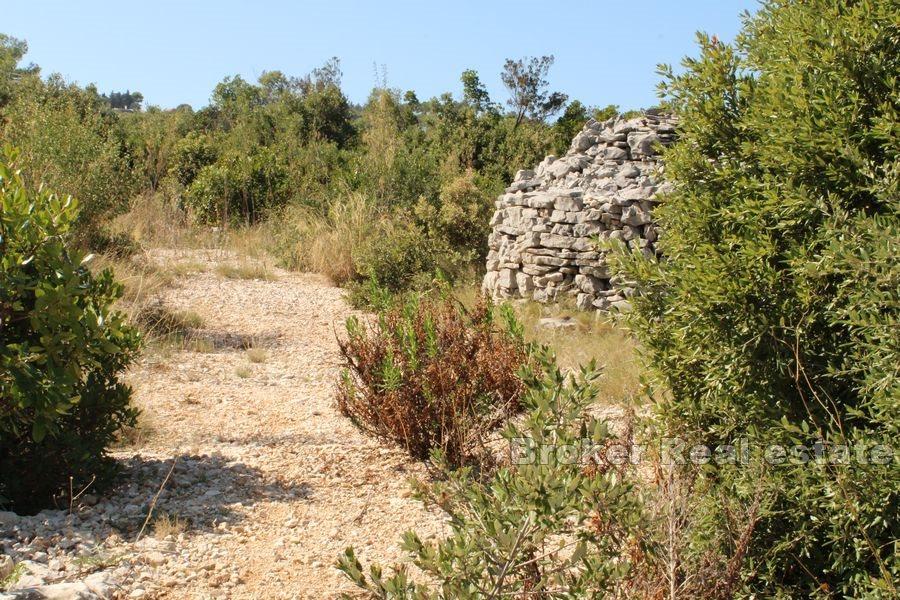 Île de Solta - Terrain à bâtir avec vue mer
