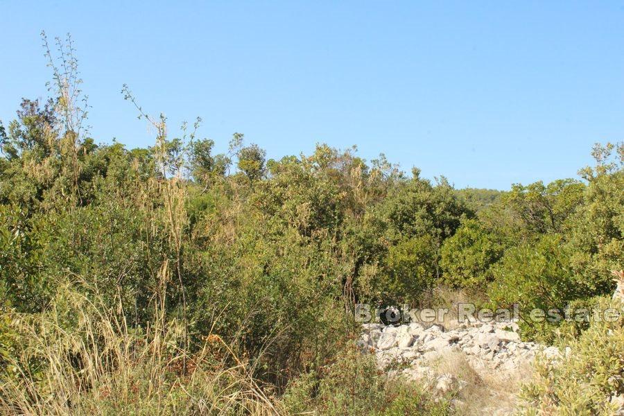 Île de Solta - Terrain à bâtir avec vue mer